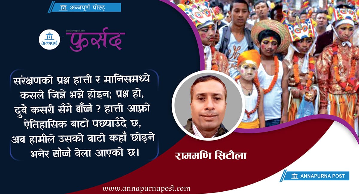Celebration of Life Amidst Death in Gai Jatra