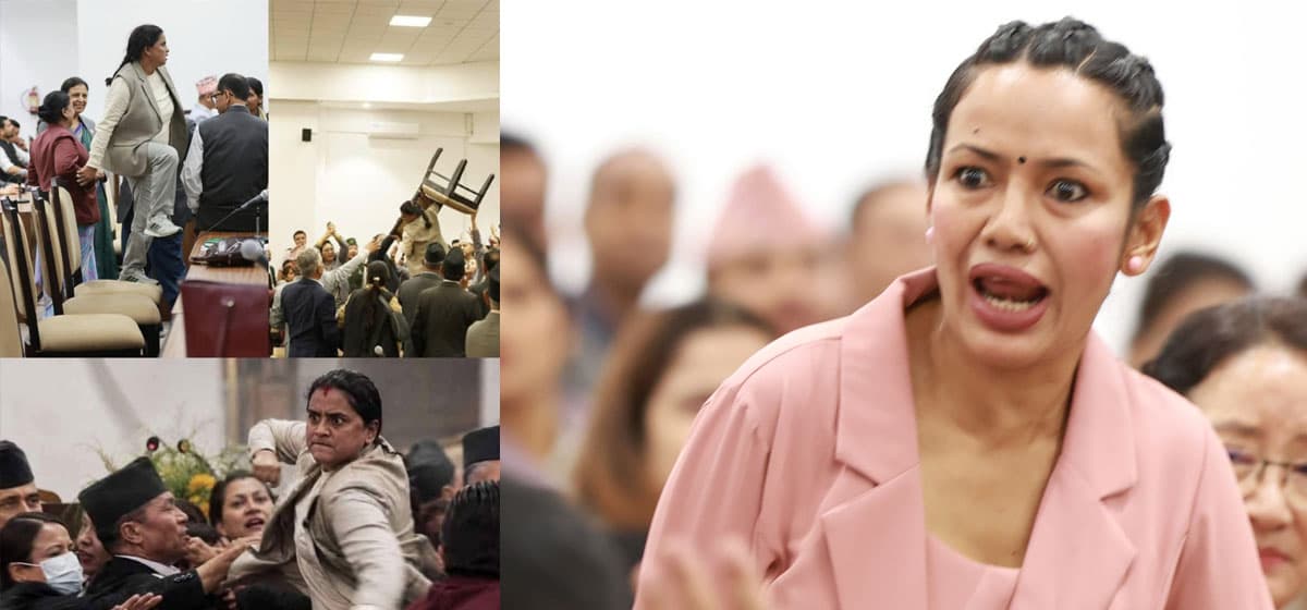 New MPs: Parliament or Wrestling Ring?
