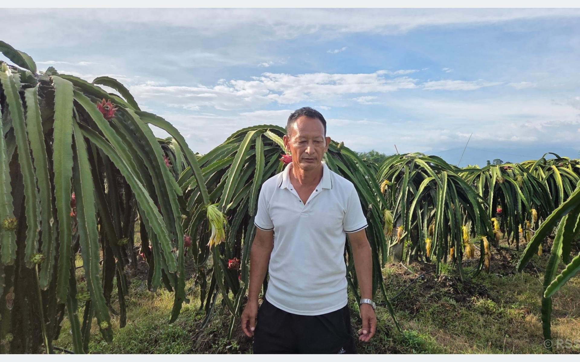 Ex-soldier makes millions from dragon fruit farming