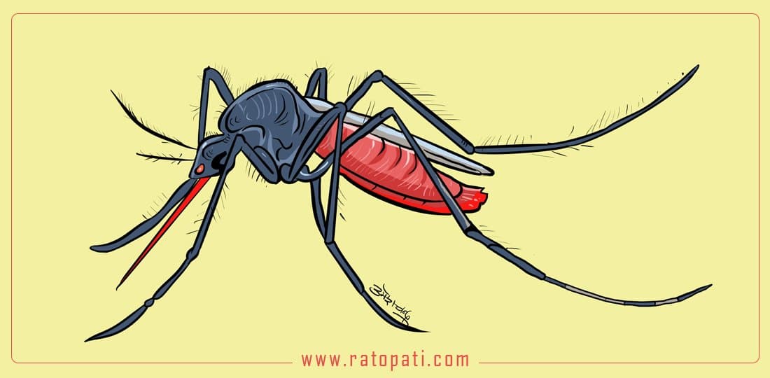 Japanese Encephalitis Kills Six in Jhapa