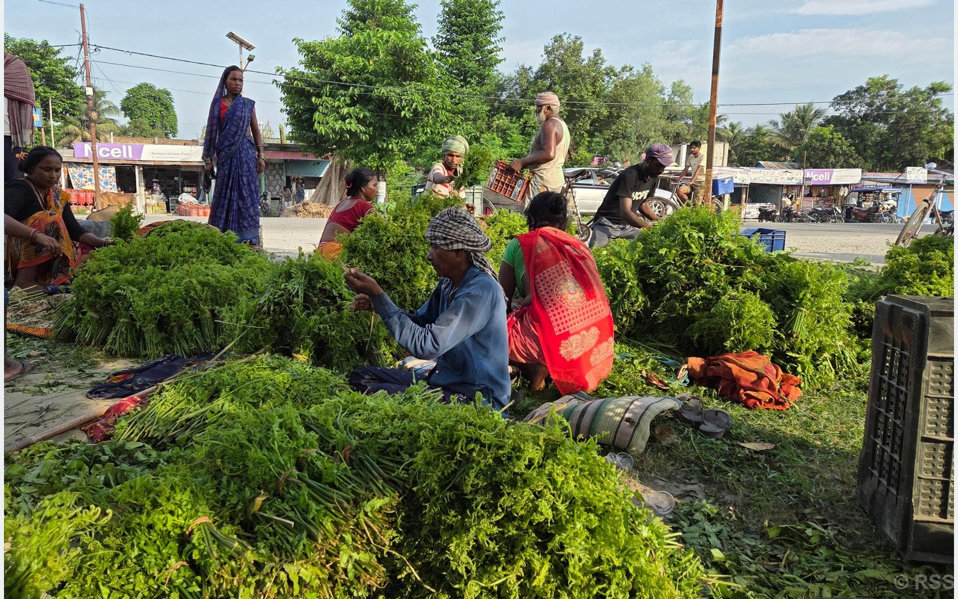 Koshi Tappu Niguro Reaches Kathmandu's Kalimati Market