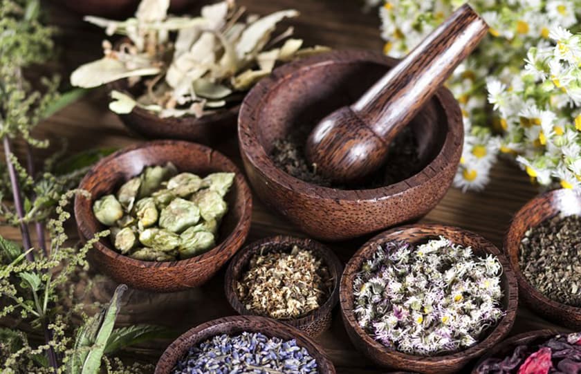 Nepal Exports Herbs Worth Rs 140 Million in One Year