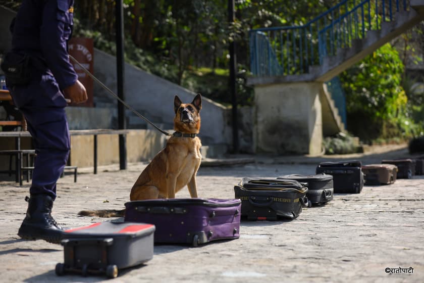 Nawalpur Police Use Trained Dogs for Vehicle Checks